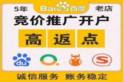 探索专业SEM托管的未来趋势与成功案例